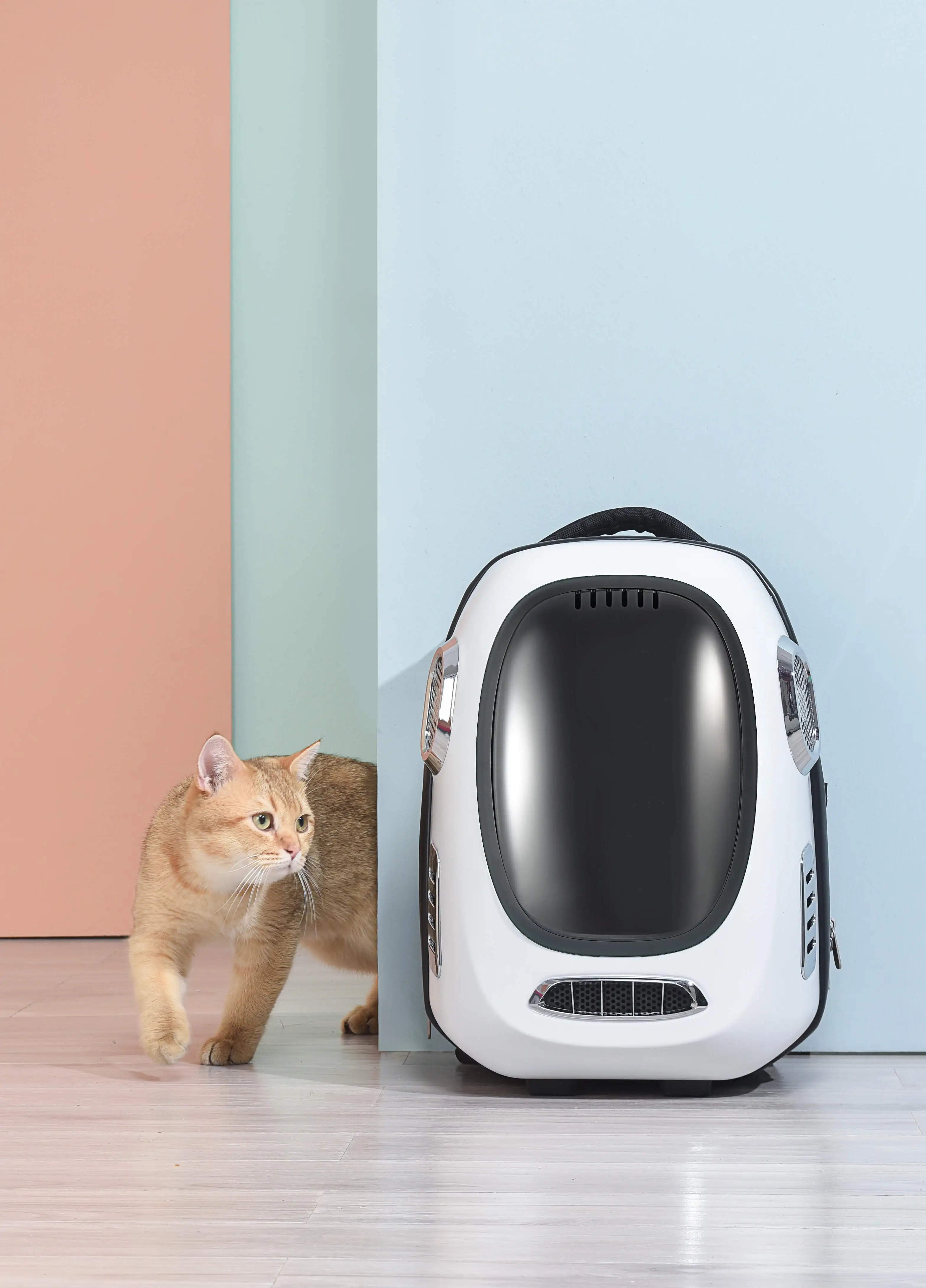 Wholesale Breathable Foldable Cooling Pet Rucksack Carrier for Puppy Dog Cat Lightweight Backpack Designed for Travel Bag
Wholesale Breathable Foldable Cooling Pet Rucksack Carrier for Puppy Dog Cat Lightweight Backpack Designed for Travel Bag