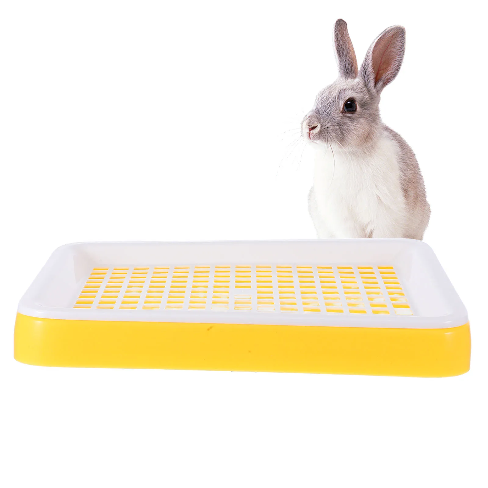 Rabbit Large Litter Box For Guinea Pig Potty Training Pan Cage Tray Ideal For Rats Ferret Hamster Small Animals Plastic Pet
Rabbit Large Litter Box For Guinea Pig Potty Training Pan Cage Tray Ideal For Rats Ferret Hamster Small Animals Plastic Pet