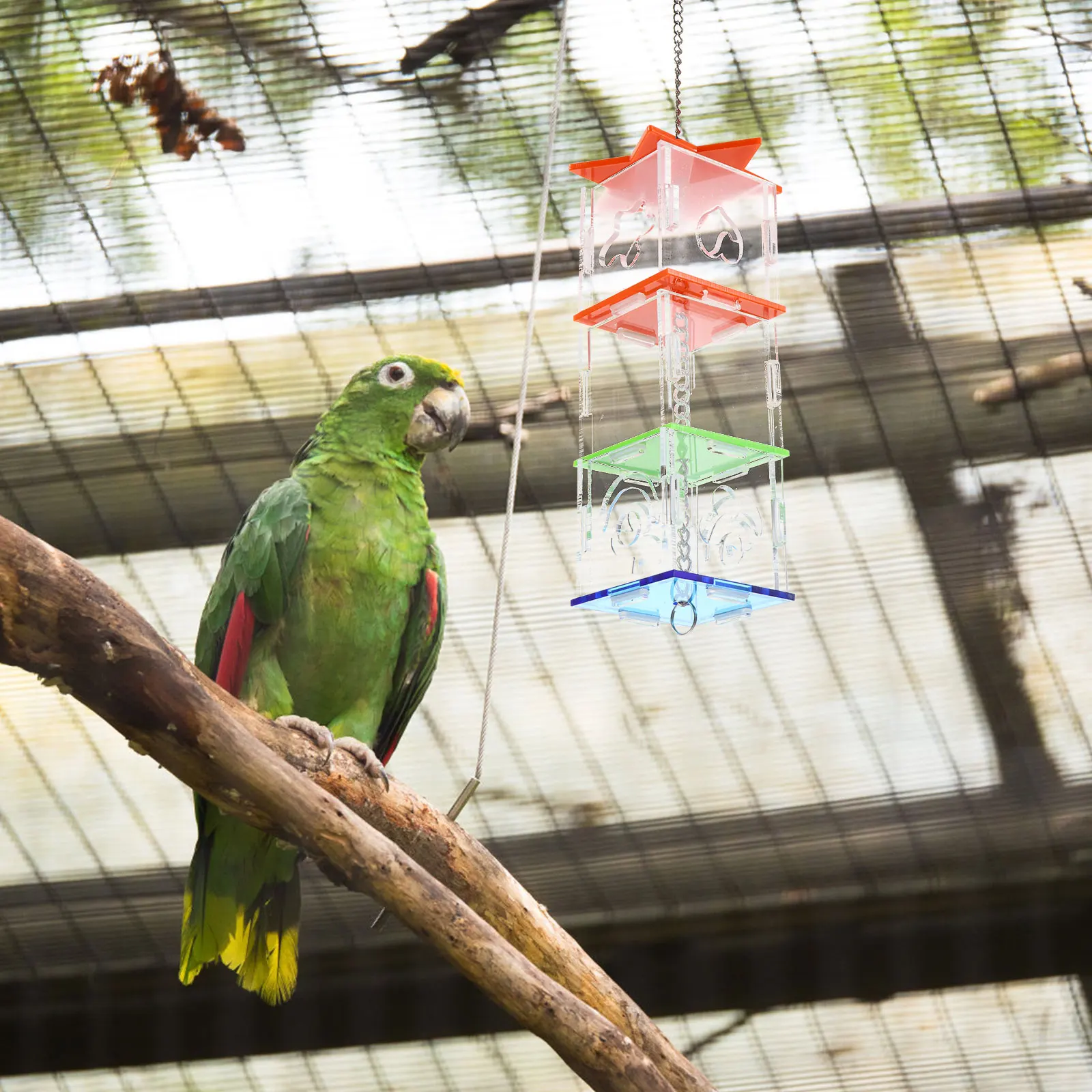 Hexagonal Bird Foraging Feeder Sturdy Acrylic Parrot Training Toy Exercise Mouth Claws Intelligence Development Bird Food Holder
Hexagonal Bird Foraging Feeder Sturdy Acrylic Parrot Training Toy Exercise Mouth Claws Intelligence Development Bird Food Holder