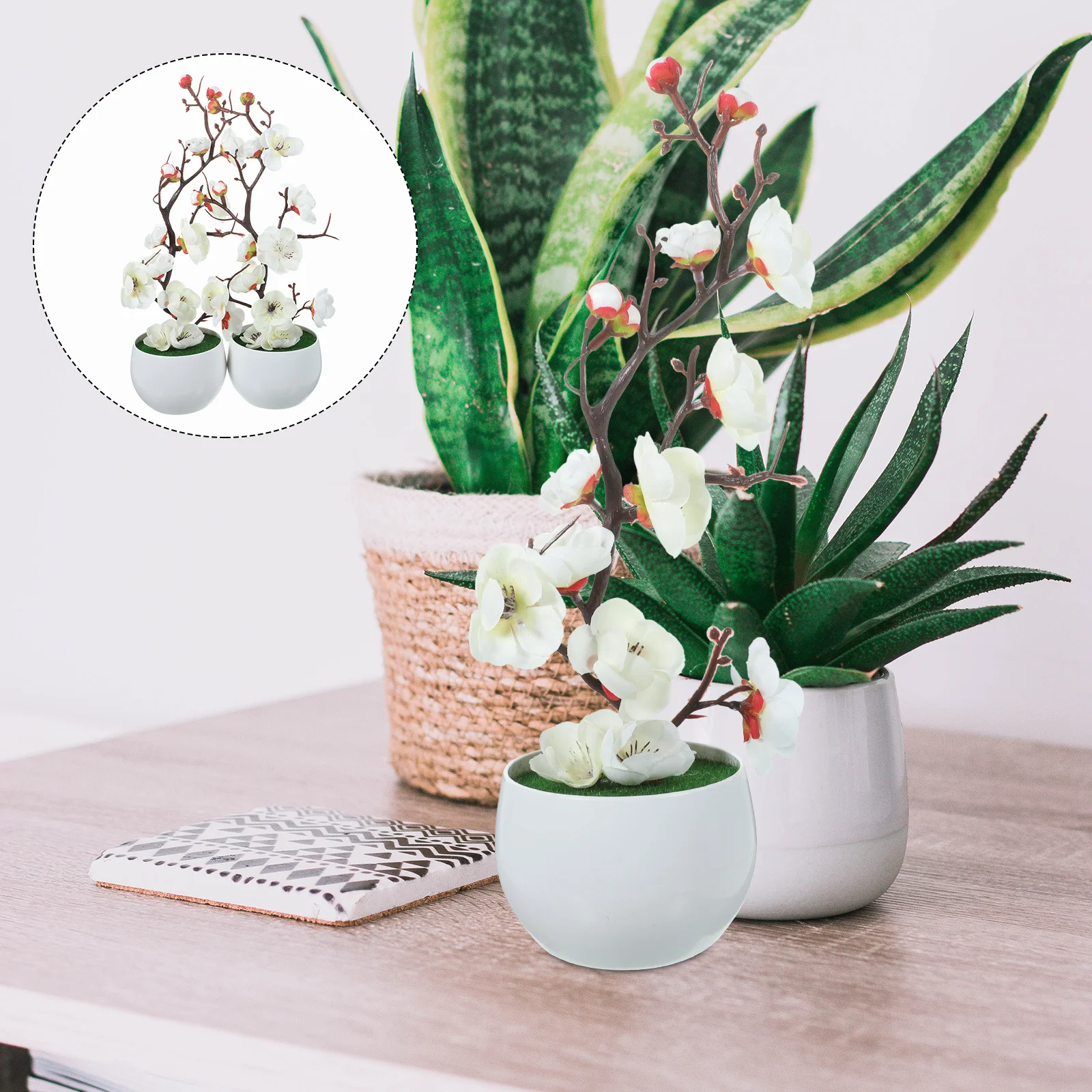 2Pcs Faux Plum Blossom Artificial Potted Plant Small Lightweight Realistic Flower Bonsai for Desktop Home Office Table
2Pcs Faux Plum Blossom Artificial Potted Plant Small Lightweight Realistic Flower Bonsai for Desktop Home Office Table