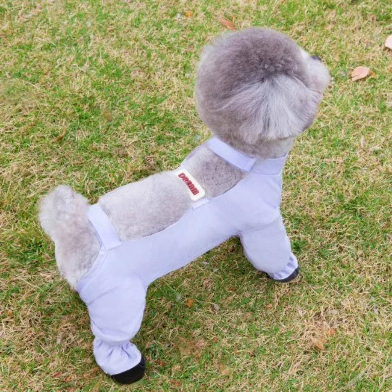 New Leisure Lightweight Waterproof Pet Cloth for Dogs Foot-protecting Stain-resistant Pants Blue Purple Polyester Pet Product
New Leisure Lightweight Waterproof Pet Cloth for Dogs Foot-protecting Stain-resistant Pants Blue Purple Polyester Pet Product