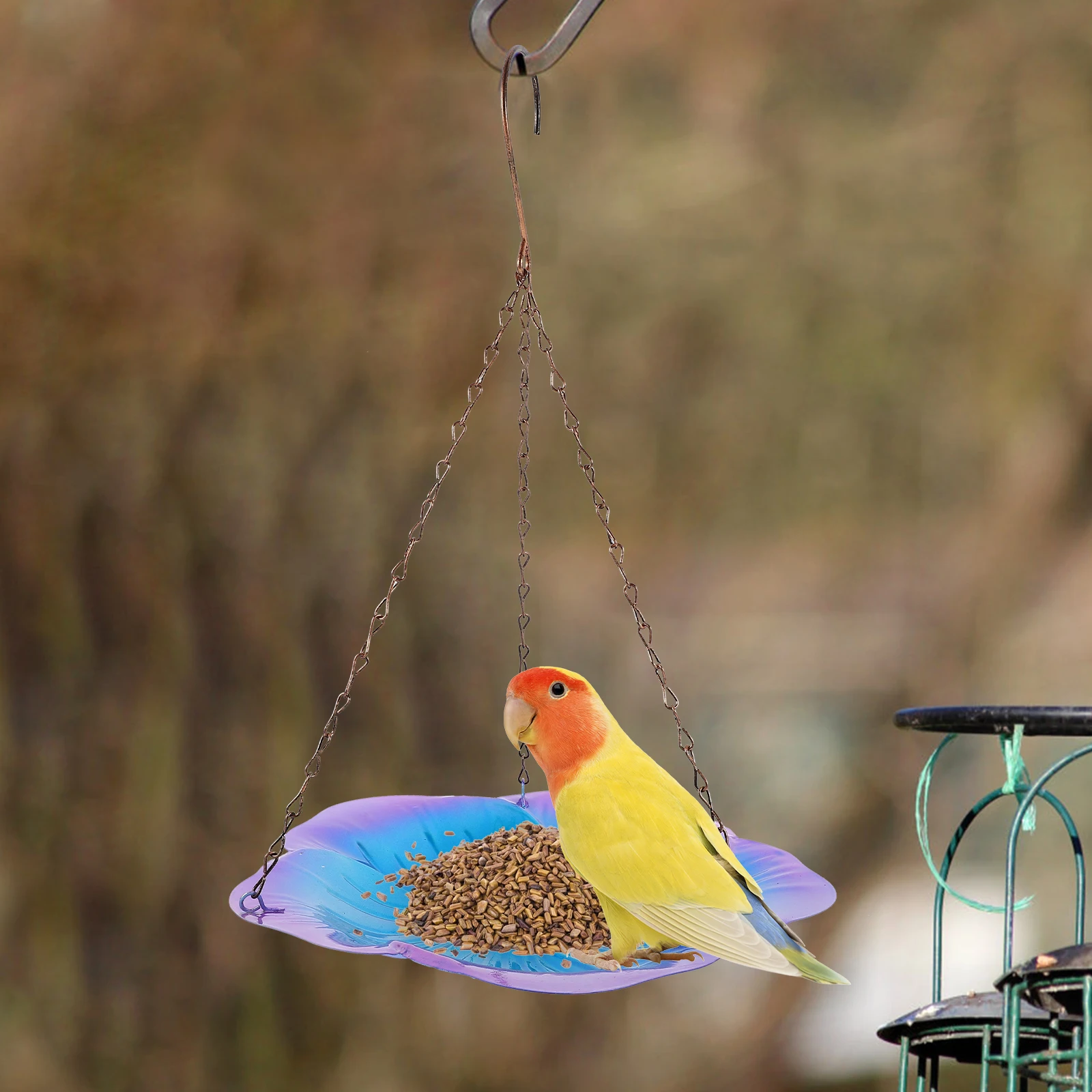 Hanging Bird Feeder Platform Tray for Outdoors Wild Birds Brown Flower Metal Clean Garden Patio Porch Pet Supplies
Hanging Bird Feeder Platform Tray for Outdoors Wild Birds Brown Flower Metal Clean Garden Patio Porch Pet Supplies