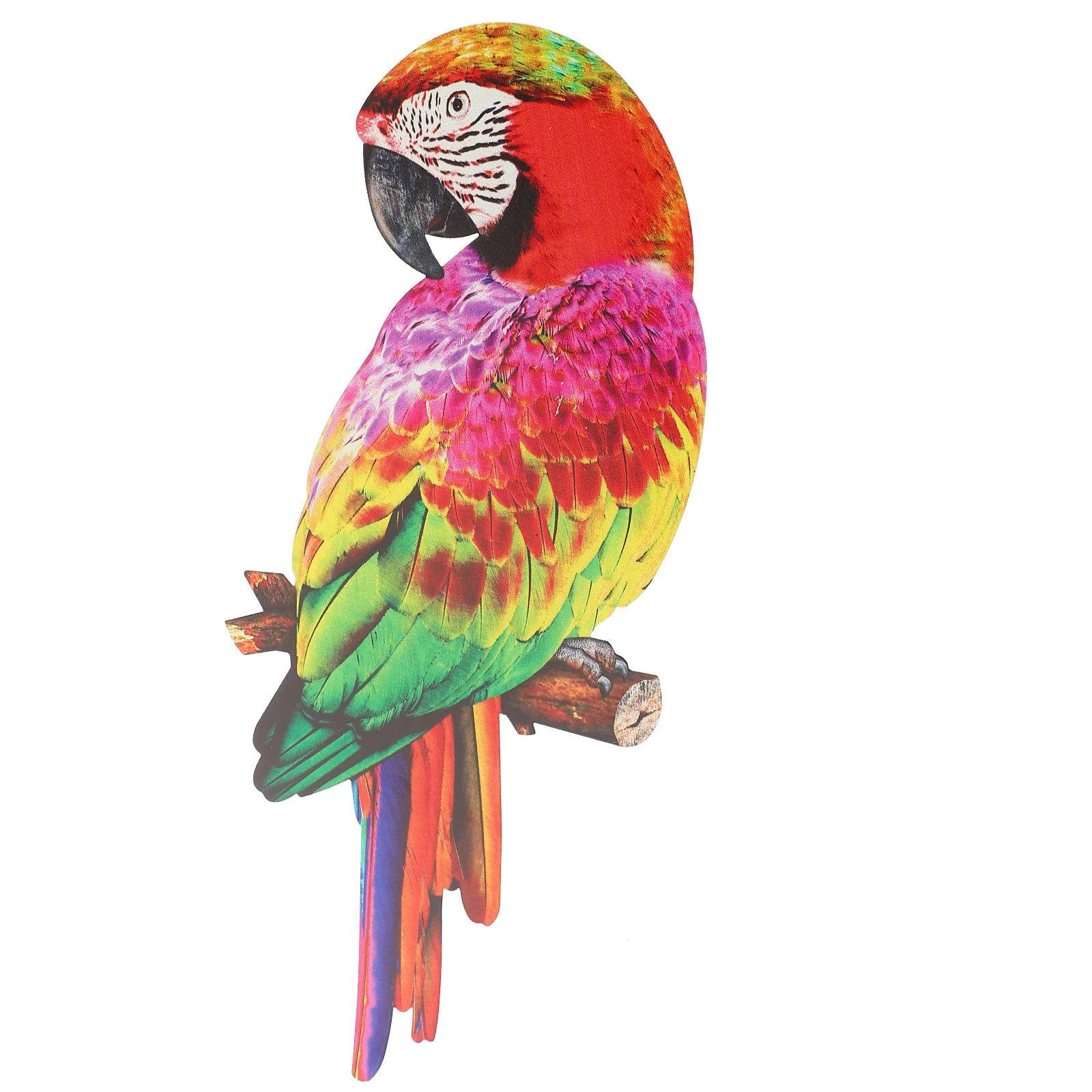 Toucan Wall Backdrop Bird Ornament Bird Decor Iron Craft Realistic Design for Party Metal Gifts
Toucan Wall Backdrop Bird Ornament Bird Decor Iron Craft Realistic Design for Party Metal Gifts