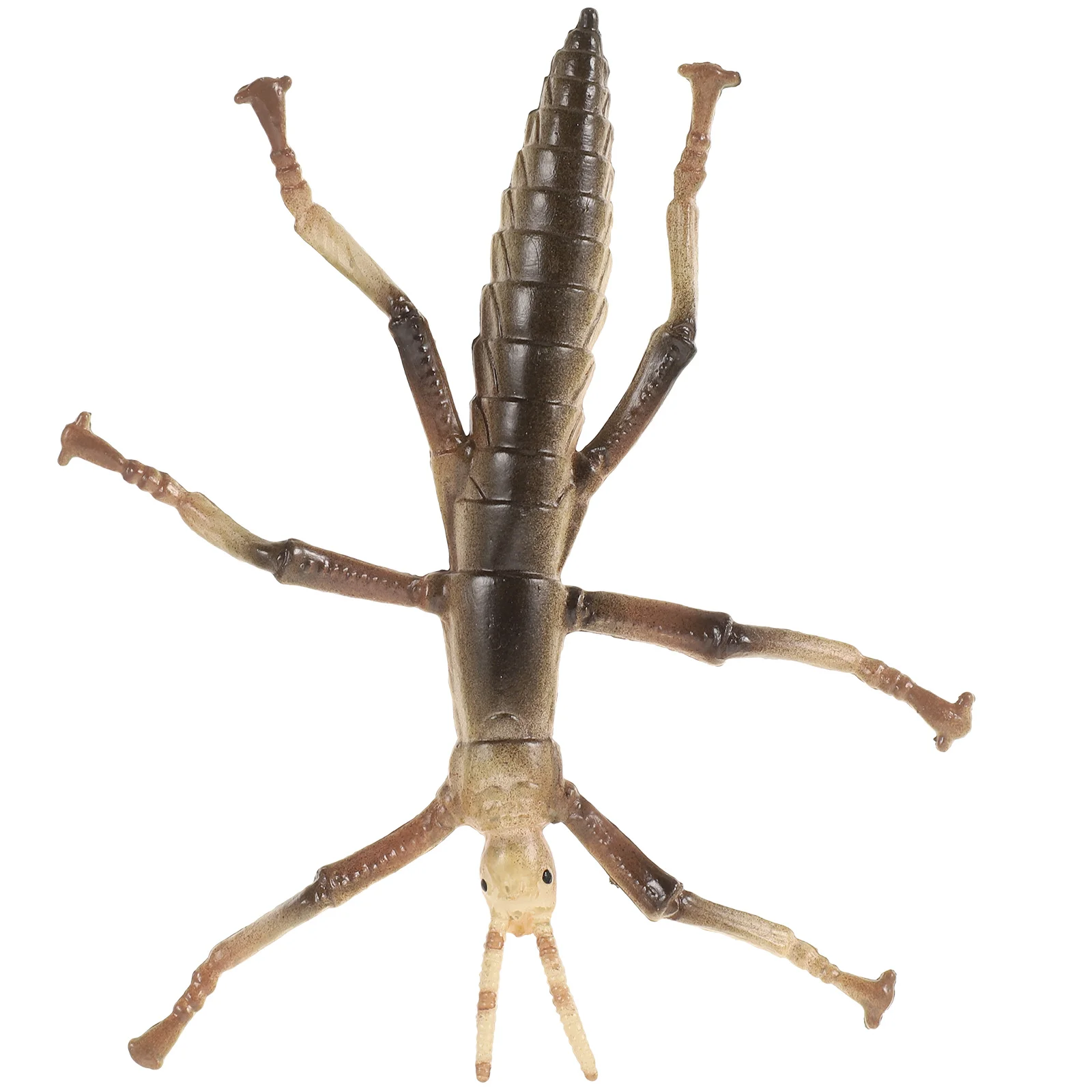 Quality Stick Insect Model Toys Plastic Bugs for Kids Educational Fun Realistic Children Toy Ox 1682 Beige Ox 1681 Yellow
Quality Stick Insect Model Toys Plastic Bugs for Kids Educational Fun Realistic Children Toy Ox 1682 Beige Ox 1681 Yellow