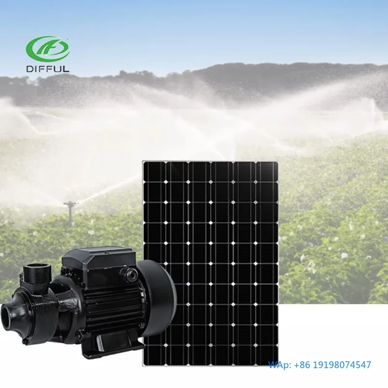 Solar QB60 Surface Water Pump For Irrigation
Solar QB60 Surface Water Pump For Irrigation