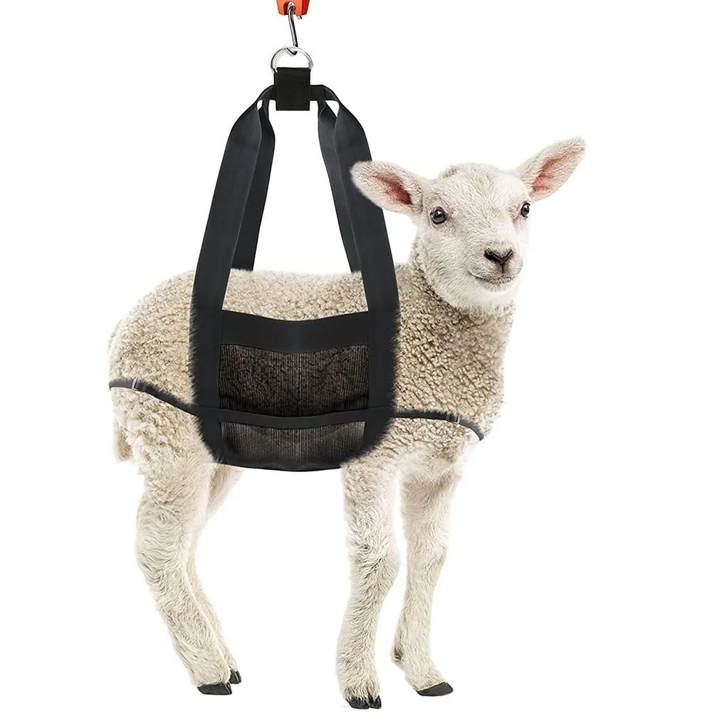 New Adjustable Weighing Sling Durable Black Livestock Hang Convenient Animals Weighing Strap for Weighing Calf Lambs Newborn
New Adjustable Weighing Sling Durable Black Livestock Hang Convenient Animals Weighing Strap for Weighing Calf Lambs Newborn
