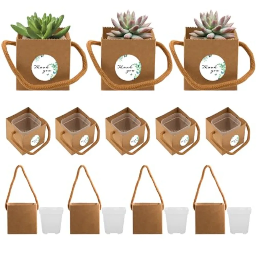 20 комплектов крошечных горшков для суккулентов с мешком из крафт-бумаги и милыми наклейками «Спасибо» 2-дюймовый квадратный мини-пластмассовый горшок для суккулентов с Dr
20 комплектов крошечных горшков для суккулентов с мешком из крафт-бумаги и милыми наклейками «Спасибо» 2-дюймовый квадратный мини-пластмассовый горшок для суккулентов с Dr