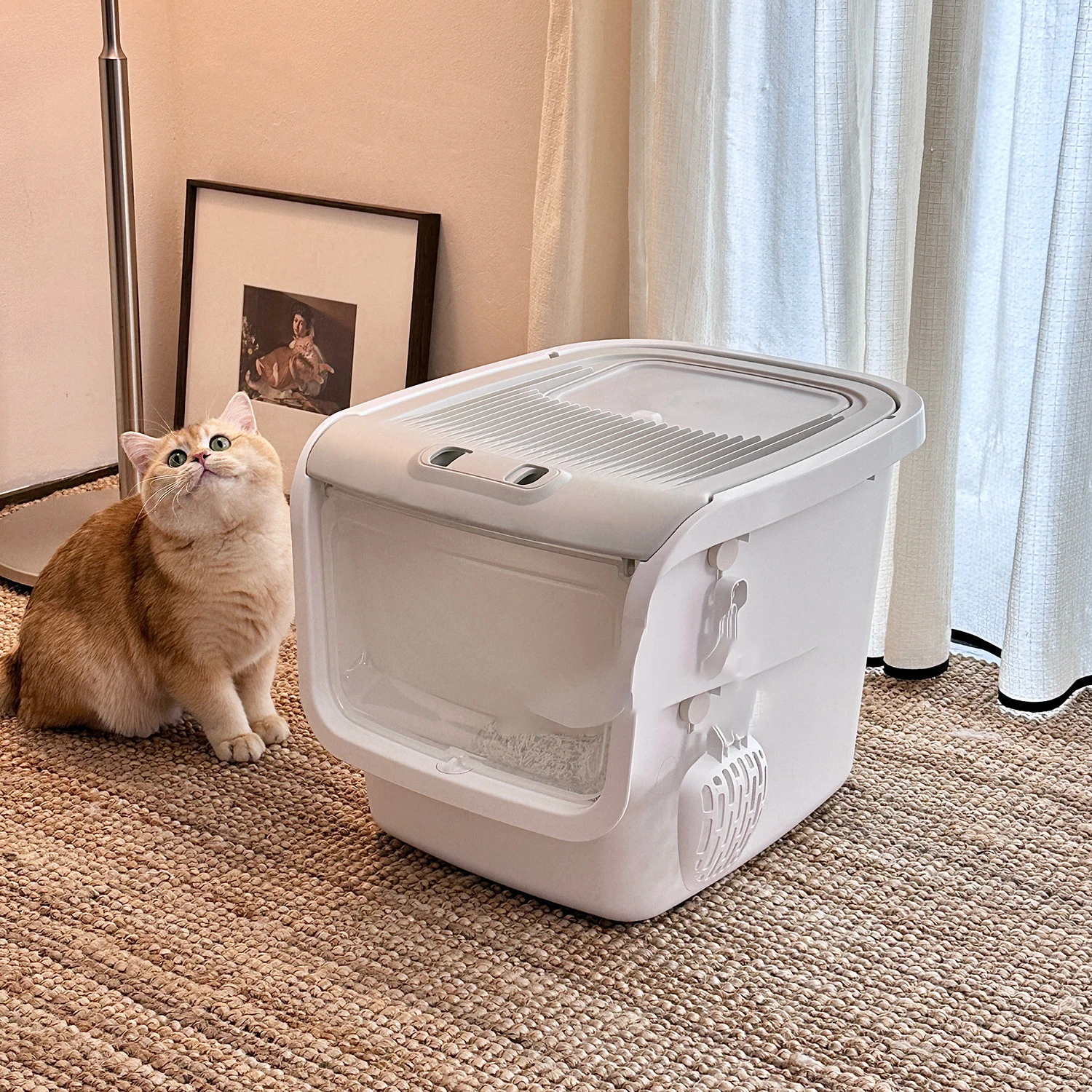 Training cat Litter Box Plastic Accessories Closed Small Cat Litter Box Sandbox Self-Cleaning Automatische Kattenbak Home Item
Training cat Litter Box Plastic Accessories Closed Small Cat Litter Box Sandbox Self-Cleaning Automatische Kattenbak Home Item