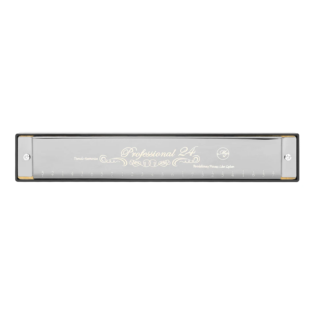 24-hole C Professional Mouth Harmonica Stainless Steel ABS Harmonica Harmonica Instrument Educational Toys
24-hole C Professional Mouth Harmonica Stainless Steel ABS Harmonica Harmonica Instrument Educational Toys