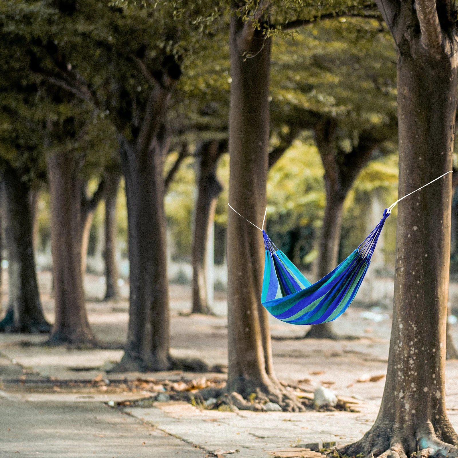 Rainbow Canvas Hammock Outdoor Swing Sleeping Bed Camping Lightweight Durable Striped Design Relaxation Garden Backpacking Gift
Rainbow Canvas Hammock Outdoor Swing Sleeping Bed Camping Lightweight Durable Striped Design Relaxation Garden Backpacking Gift