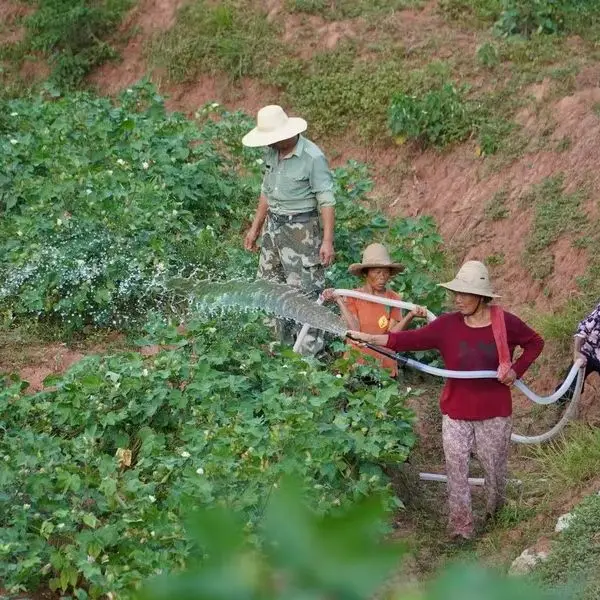 1.5 HP BLDC Solar Submersible 130Ft Borewell Water Pump Price for Livestock Solar Powered Agriculture Water Pressure Pump Kits
1.5 HP BLDC Solar Submersible 130Ft Borewell Water Pump Price for Livestock Solar Powered Agriculture Water Pressure Pump Kits