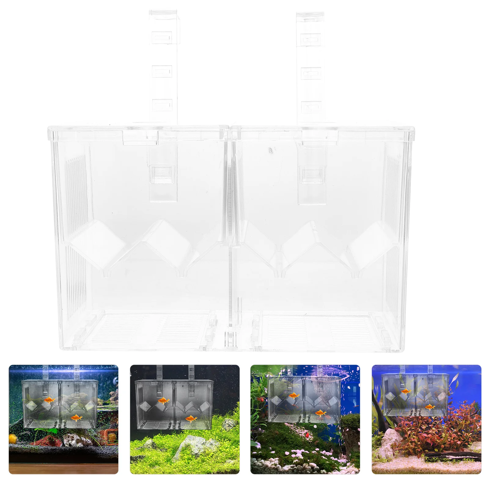 Fish Tank Isolation Box Hatching Incubators Aquarium Breeding Boxes Holder Nursery Fry Monitoring Pet Supplies Stable
Fish Tank Isolation Box Hatching Incubators Aquarium Breeding Boxes Holder Nursery Fry Monitoring Pet Supplies Stable