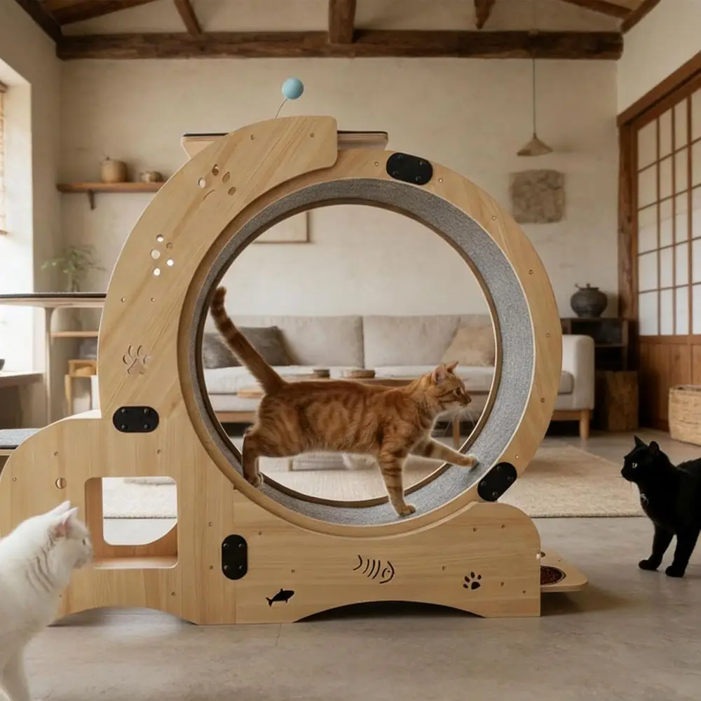 6-in-1 Indoor Cat Exercise Wheel with Bed, Scratcher, Toys & More
6-in-1 Indoor Cat Exercise Wheel with Bed, Scratcher, Toys & More