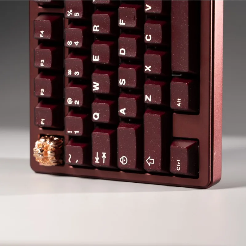 MiFuny Keycaps Glitter Powder Full Set ABS Two-color Molding Translucent Key Cap Cherry Profile Keycaps for Mechanical Keyboard
MiFuny Keycaps Glitter Powder Full Set ABS Two-color Molding Translucent Key Cap Cherry Profile Keycaps for Mechanical Keyboard