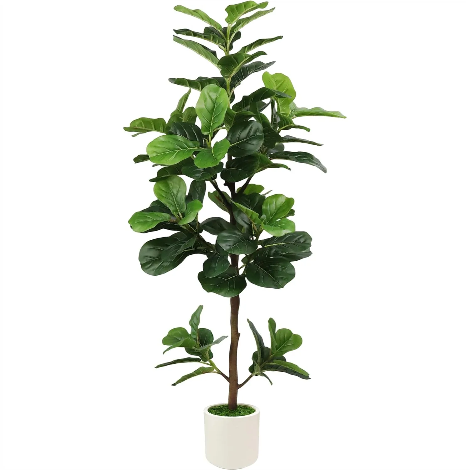 5FT Artificial Fiddle Leaf Fig Tree with White Planter & Fake Moss, Realistic Faux Floor Plant for Indoor Home Office Decor
5FT Artificial Fiddle Leaf Fig Tree with White Planter & Fake Moss, Realistic Faux Floor Plant for Indoor Home Office Decor