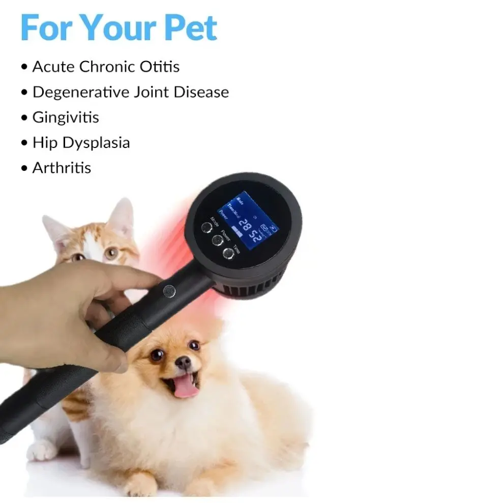 Cold Laser Pain Relief Joint Arthritis Animal Device Red Light Infrared Relief Pain Pet Dogs' Version
Cold Laser Pain Relief Joint Arthritis Animal Device Red Light Infrared Relief Pain Pet Dogs' Version