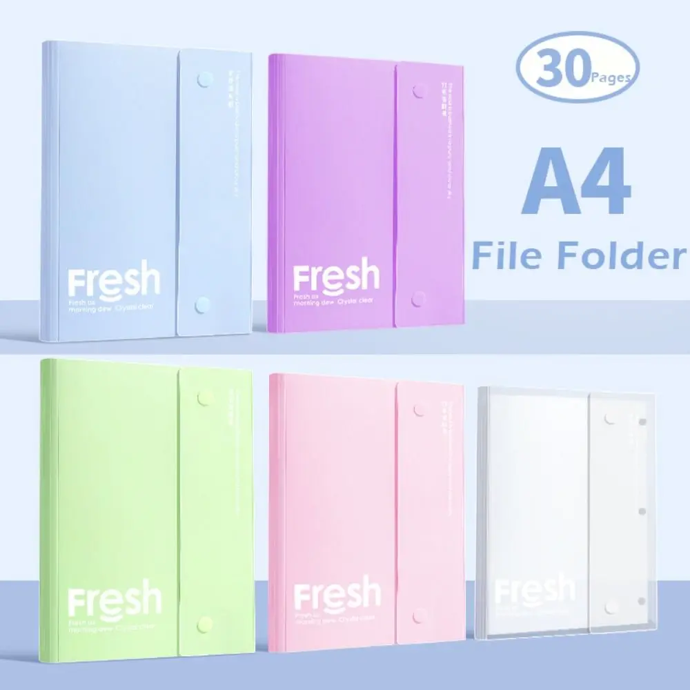 Multi-functional PP Storage Booklet Folding Design Waterproof A4 File Folder Test Paper Storage Bag School Office
Multi-functional PP Storage Booklet Folding Design Waterproof A4 File Folder Test Paper Storage Bag School Office
