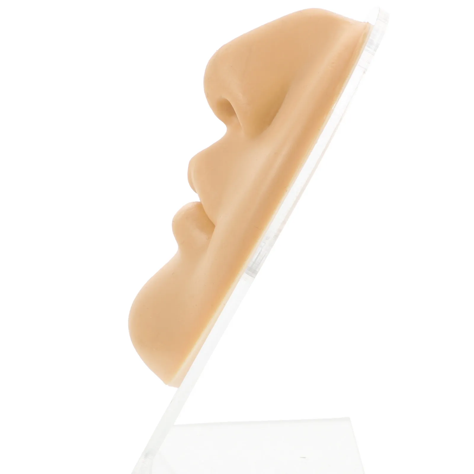 1Set Realistic Life-Size Silicone Mouth and Nose Body Part for Piercing Practice Training Teaching Tool in Schools Hospitals
1Set Realistic Life-Size Silicone Mouth and Nose Body Part for Piercing Practice Training Teaching Tool in Schools Hospitals