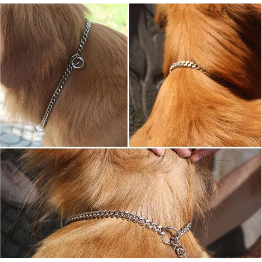 Stainless Steel Dog Collar P-chain Dog Cat Necklace Adjustable Pet Training Collar for Small Medium Large Dog Pet Accessories
Stainless Steel Dog Collar P-chain Dog Cat Necklace Adjustable Pet Training Collar for Small Medium Large Dog Pet Accessories