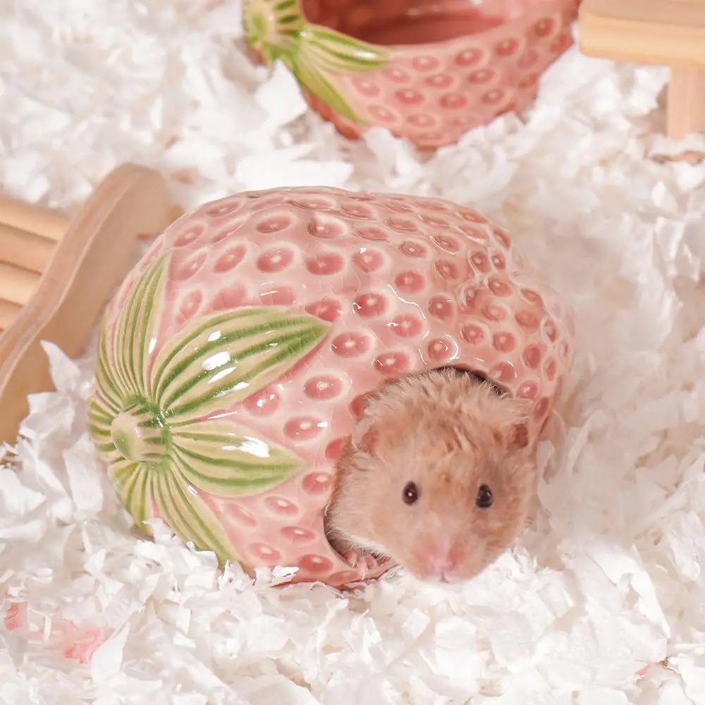 Ceramic Hamster Hideout Strawberry House Habitat Cool Bed for Syrian Gerbil Mice Guinea Pig
Ceramic Hamster Hideout Strawberry House Habitat Cool Bed for Syrian Gerbil Mice Guinea Pig