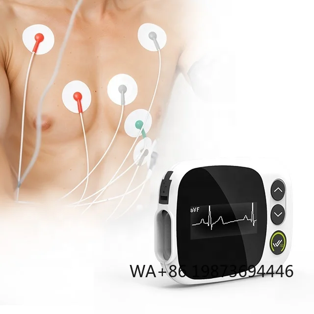 12 Leads ECG Holter Monitor IE12, Continuous Heart Tracking Medical Device
12 Leads ECG Holter Monitor IE12, Continuous Heart Tracking Medical Device