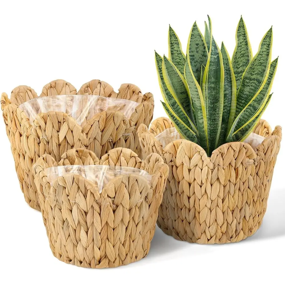 ZUNKNOD Набор из 3 плетеных корзин для растений с фестончатым краем, корзины для растений с пластиковым вкладышем для использования в помещении, плетеные вручную из водного гиацинта, низкие кашпо C
ZUNKNOD Набор из 3 плетеных корзин для растений с фестончатым краем, корзины для растений с пластиковым вкладышем для использования в помещении, плетеные вручную из водного гиацинта, низкие кашпо C