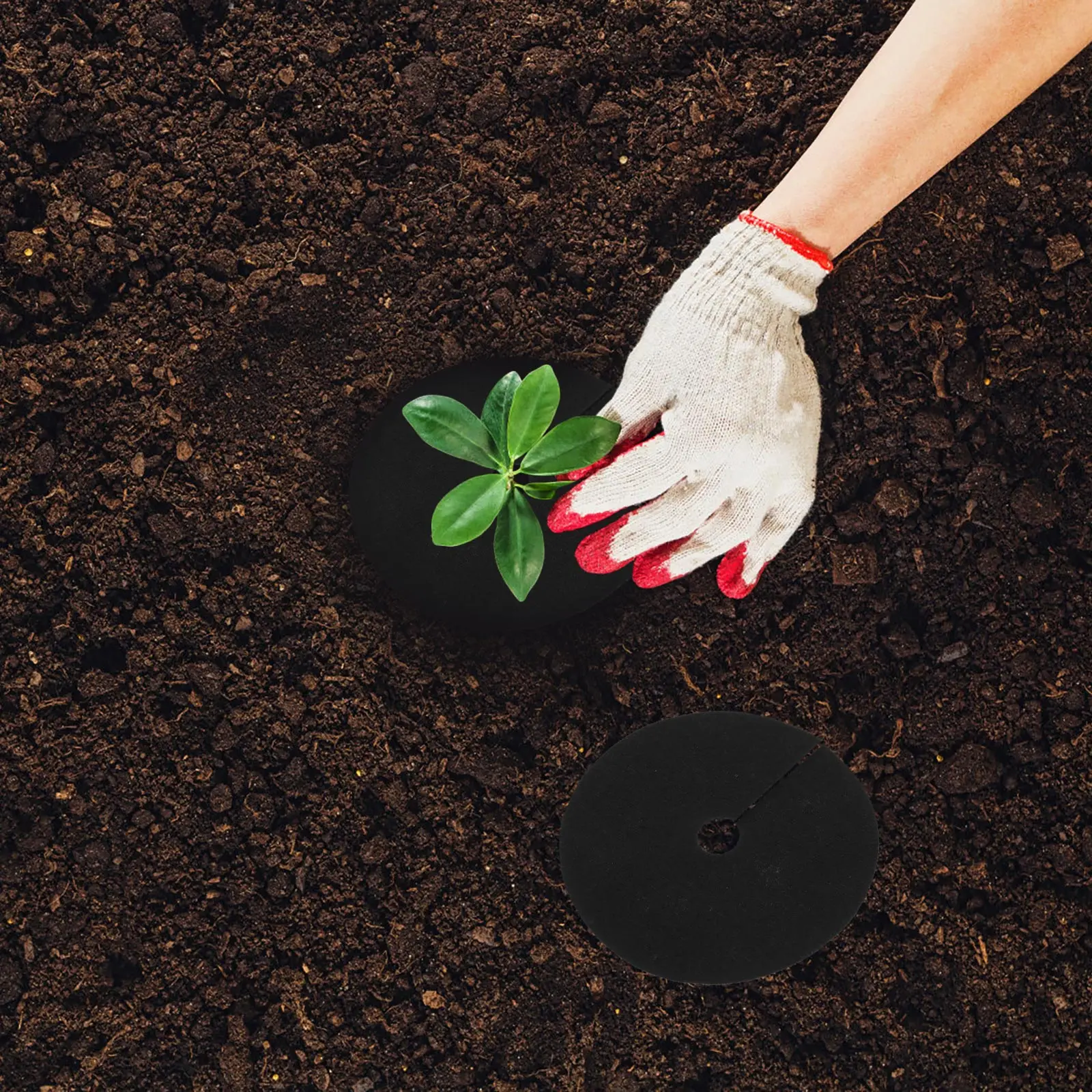 20pcs Black Non-woven Fabric Round Control Ring 15cmx2cm Control Cloth Gardening Moisture Retention Tree Protection
20pcs Black Non-woven Fabric Round Control Ring 15cmx2cm Control Cloth Gardening Moisture Retention Tree Protection