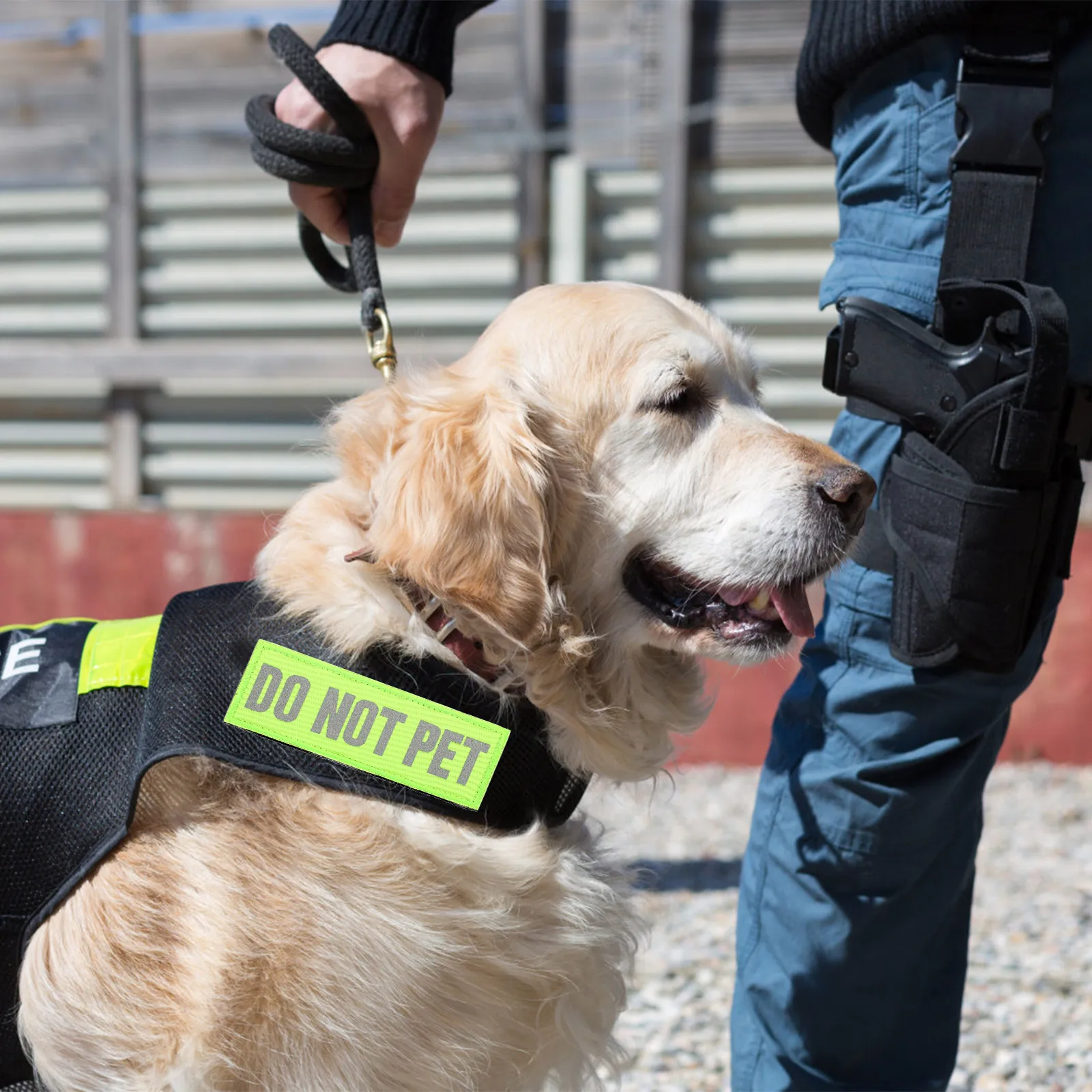 2pcs Reflective Patches for Night Safety Vest Stickers Harness Do Not Do Not Pet Patch Pet Patch Small Friendly
2pcs Reflective Patches for Night Safety Vest Stickers Harness Do Not Do Not Pet Patch Pet Patch Small Friendly
