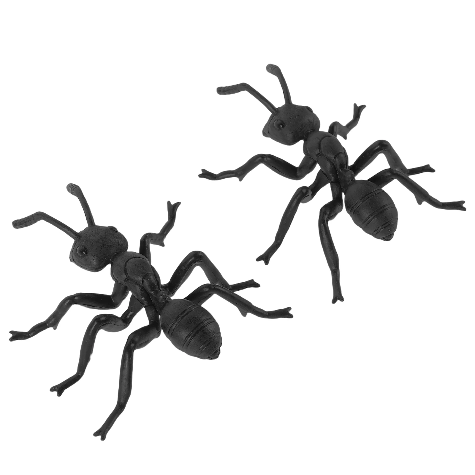 Insect Model Halloween Bugs Ants Figurine Statue Birthday Decorations Pvc Front Yard Child
Insect Model Halloween Bugs Ants Figurine Statue Birthday Decorations Pvc Front Yard Child