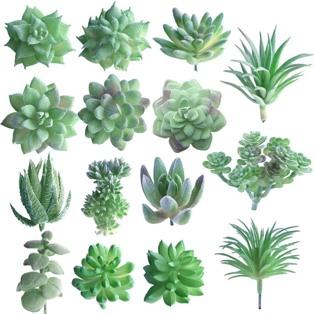 11/15/18Pcs Mini Artificial Succulents Unpotted Faux Flower Succulent for DIY Landscape Decorative Garden Arrangement Decor
11/15/18Pcs Mini Artificial Succulents Unpotted Faux Flower Succulent for DIY Landscape Decorative Garden Arrangement Decor