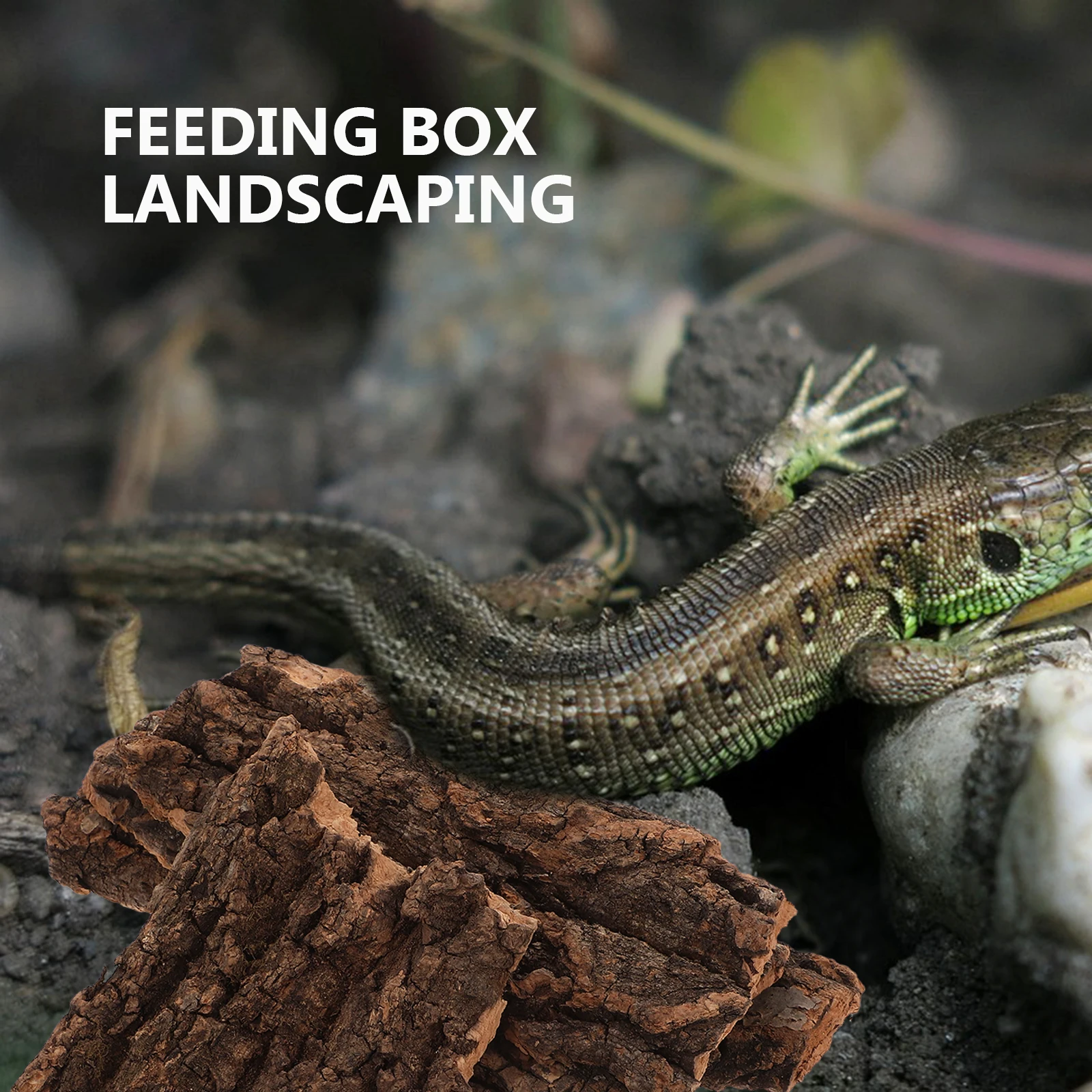 4 pcs Climbing Bark Decoration Durable Safe Reptile Terrarium Accessories Lizard Gecko Habitat Tank Supplies
4 pcs Climbing Bark Decoration Durable Safe Reptile Terrarium Accessories Lizard Gecko Habitat Tank Supplies