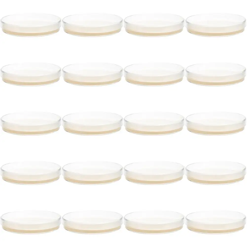 20 Pcs Bulk Nutrient Agar Plate Child Pre Made for Science Microbiology Plates Laboratory
20 Pcs Bulk Nutrient Agar Plate Child Pre Made for Science Microbiology Plates Laboratory