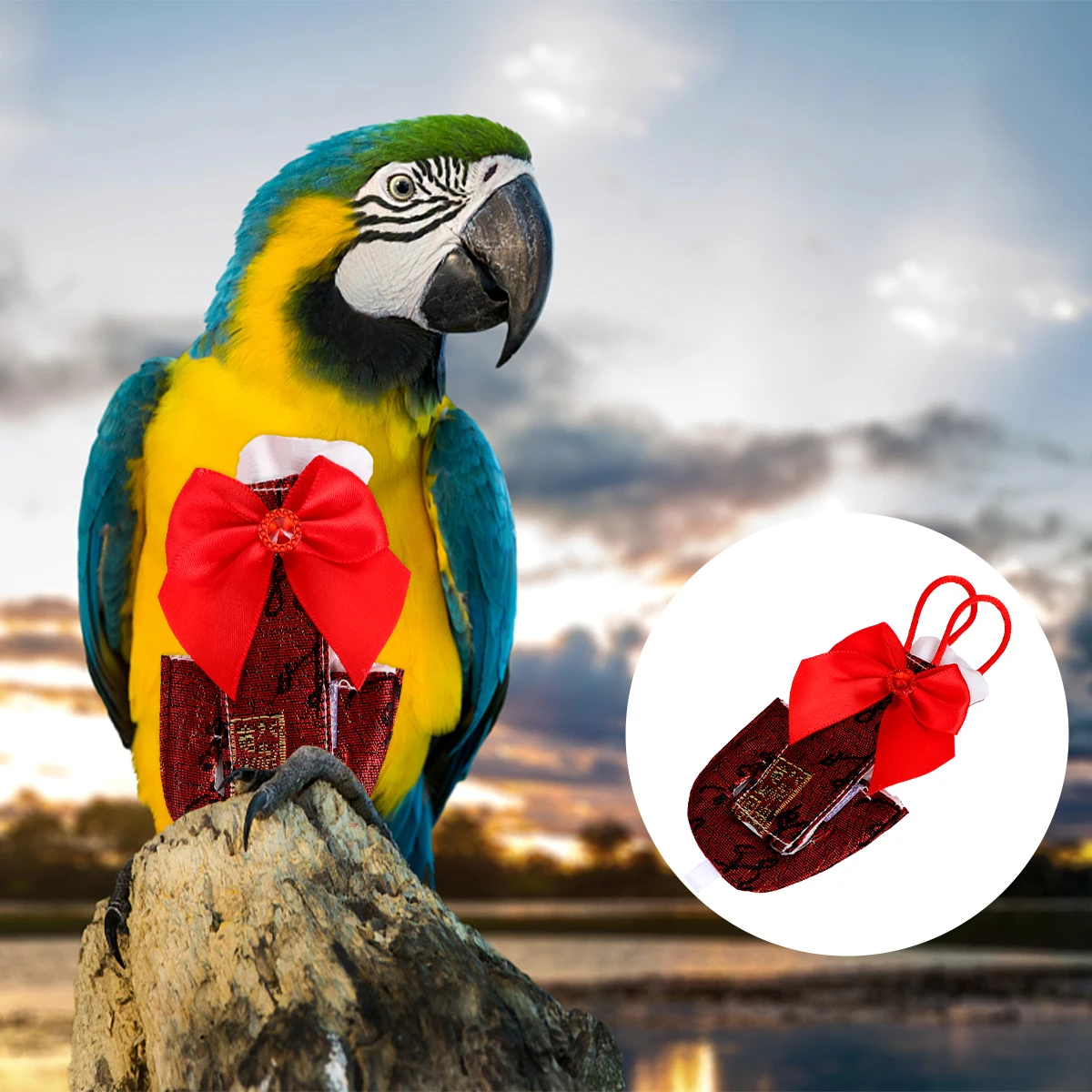 Parrot Flying Diaper Soft Cotton Reusable Waterproof Outer Layer Travel Cage Accessories Bird Clothes Supplies
Parrot Flying Diaper Soft Cotton Reusable Waterproof Outer Layer Travel Cage Accessories Bird Clothes Supplies
