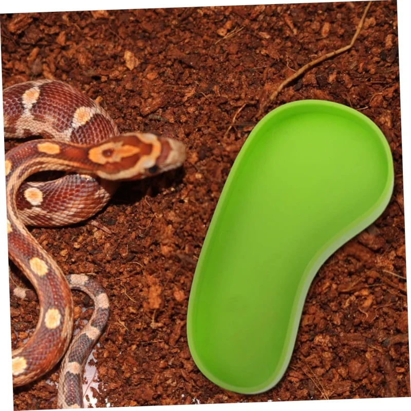 Бассейн для воды Land Turtle Lizard Mane Lion Green Iguana, автоматический резервуар, 4 шт., миска для кормления для восхождения домашних животных
Бассейн для воды Land Turtle Lizard Mane Lion Green Iguana, автоматический резервуар, 4 шт., миска для кормления для восхождения домашних животных 