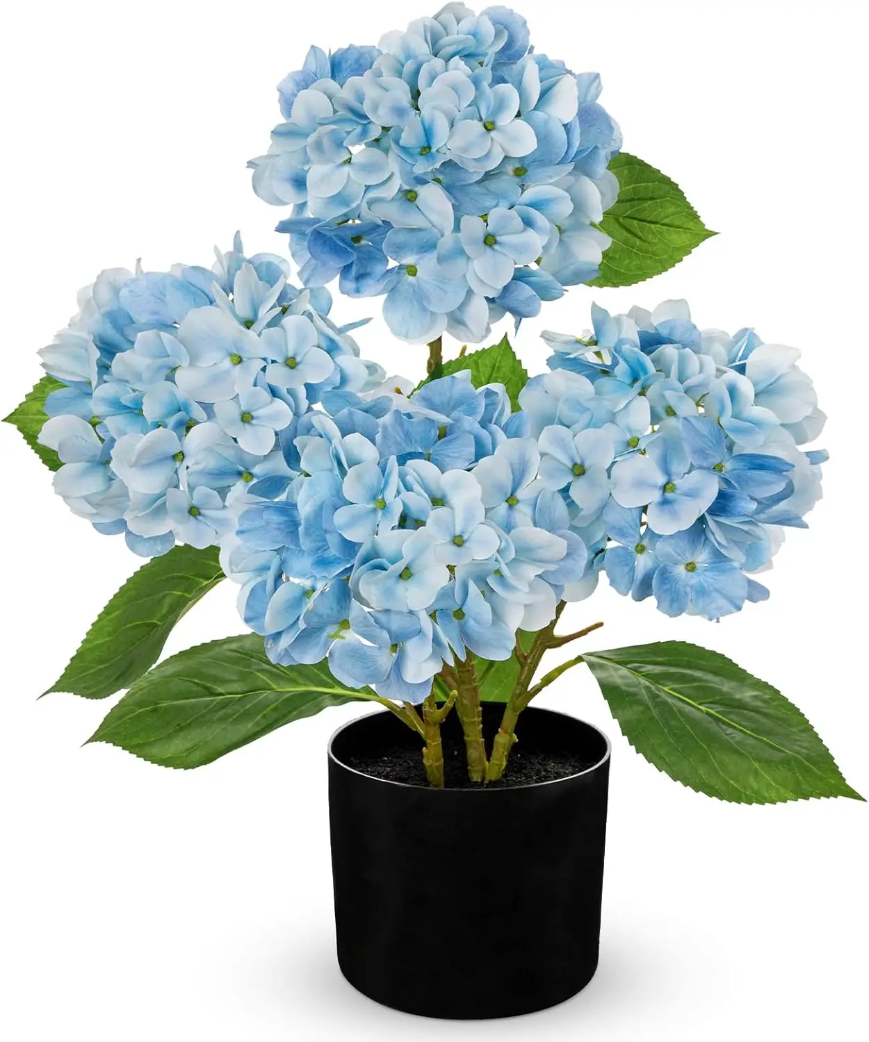 Light Blue Hydrangea Artificial Flowers in Pots 19.7" Four-Head Faux Silk Hydranges Flower Arrangements for Indoor Home
Light Blue Hydrangea Artificial Flowers in Pots 19.7" Four-Head Faux Silk Hydranges Flower Arrangements for Indoor Home