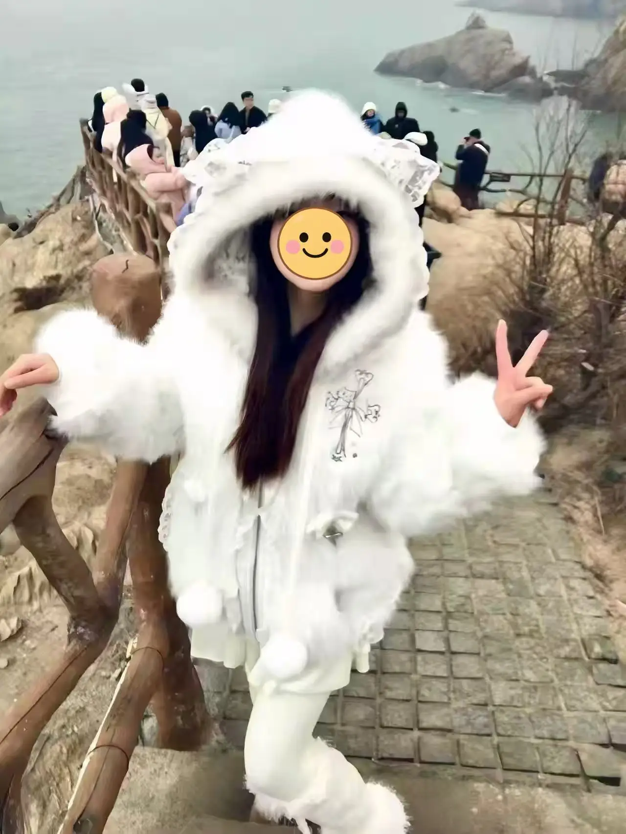 Korean Popular Clothes Winter Princess Sweet Retro Warm Coat Woman Cat Ears Design Hooded Fairy Zipper Sweatshirt Female Chic
Korean Popular Clothes Winter Princess Sweet Retro Warm Coat Woman Cat Ears Design Hooded Fairy Zipper Sweatshirt Female Chic