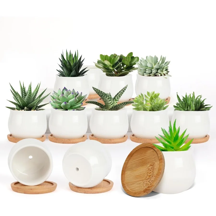 Succulent Pots White Mini 2.5 inch Ceramic Flower Planter Pot with Bamboo Tray Pack of 12 Plants Not Included
Succulent Pots White Mini 2.5 inch Ceramic Flower Planter Pot with Bamboo Tray Pack of 12 Plants Not Included