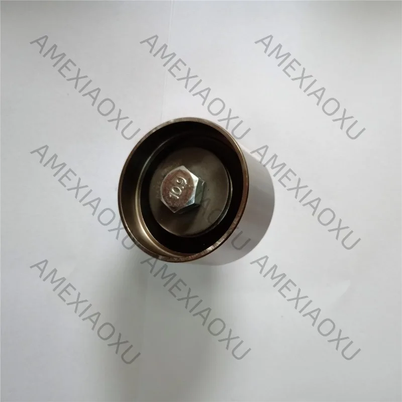 Направляющее колесо CHRYS CIRRUS 2.4 LX, натяжное колесо VKM28400 5083726 АБ 4781569 АА
Направляющее колесо CHRYS CIRRUS 2.4 LX, натяжное колесо VKM28400 5083726 АБ 4781569 АА