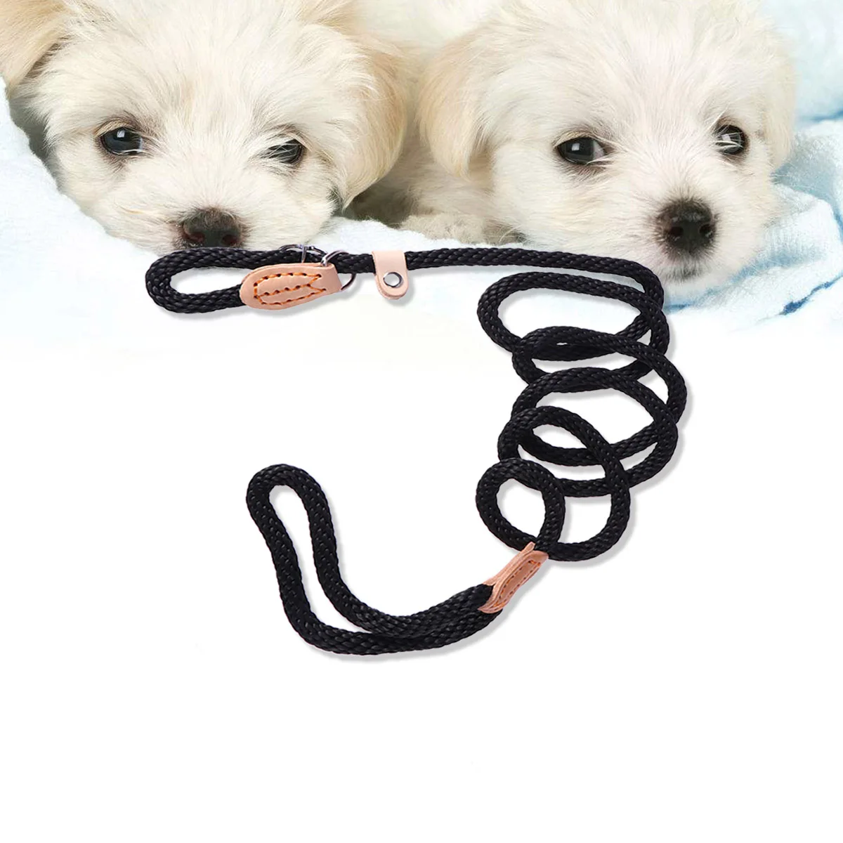 Pet Leash Dog for Training Rope Lead Hand Woven Walking Chain Ring Towing Traction
Pet Leash Dog for Training Rope Lead Hand Woven Walking Chain Ring Towing Traction