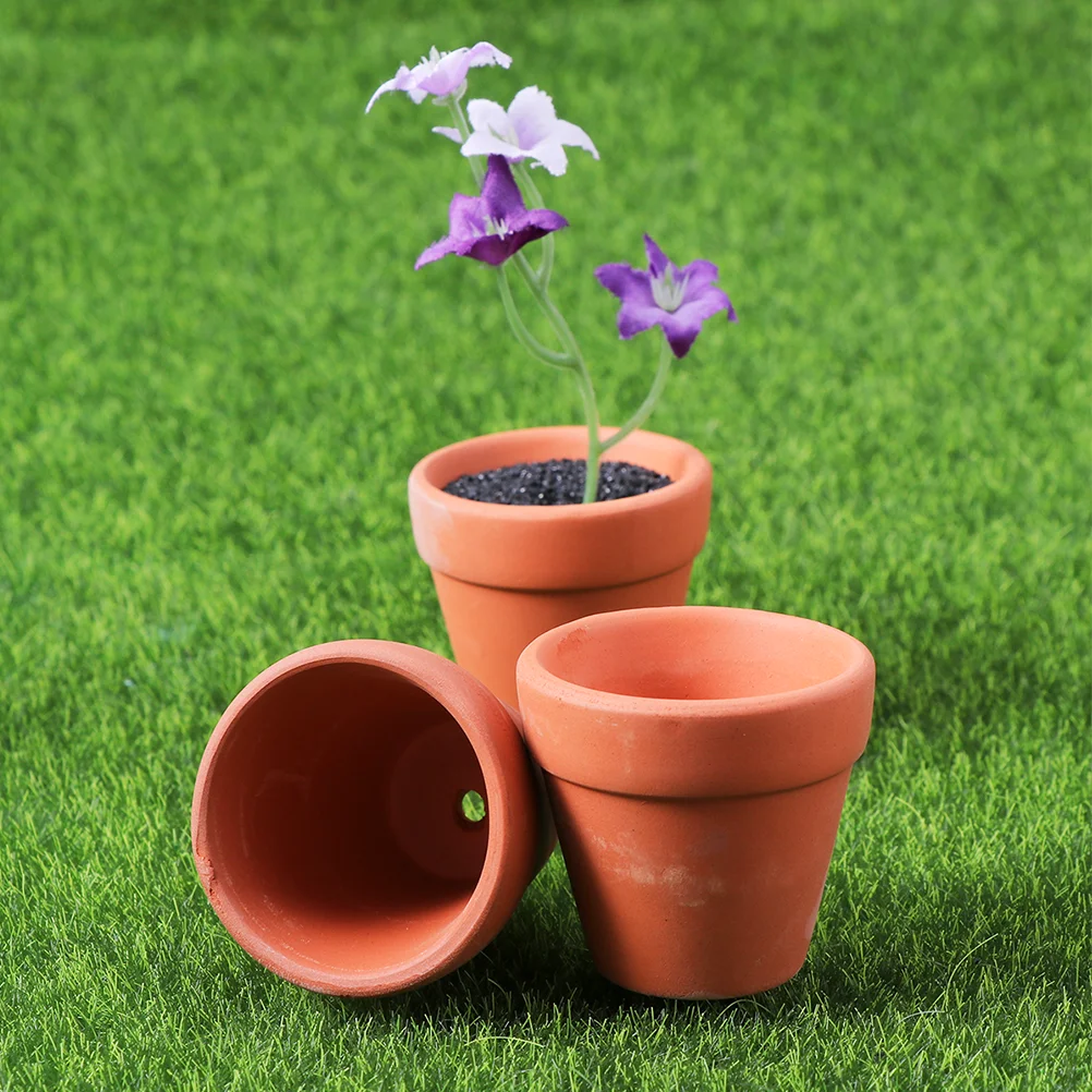 20 Pcs Small Terracotta Pots Ceramic Flowerpot Pottery Automatic Ceramics Mini Planting Holder
20 Pcs Small Terracotta Pots Ceramic Flowerpot Pottery Automatic Ceramics Mini Planting Holder