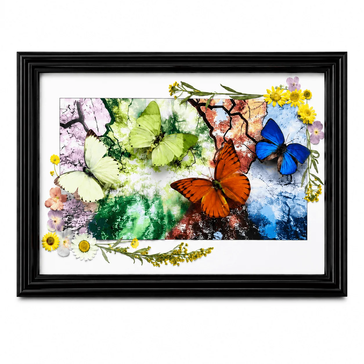 Four Seasons Real Butterfly Specimen Display, A4 Framed Butterfly Wall Decor, Nature-Inspired Gift for Home Office
Four Seasons Real Butterfly Specimen Display, A4 Framed Butterfly Wall Decor, Nature-Inspired Gift for Home Office