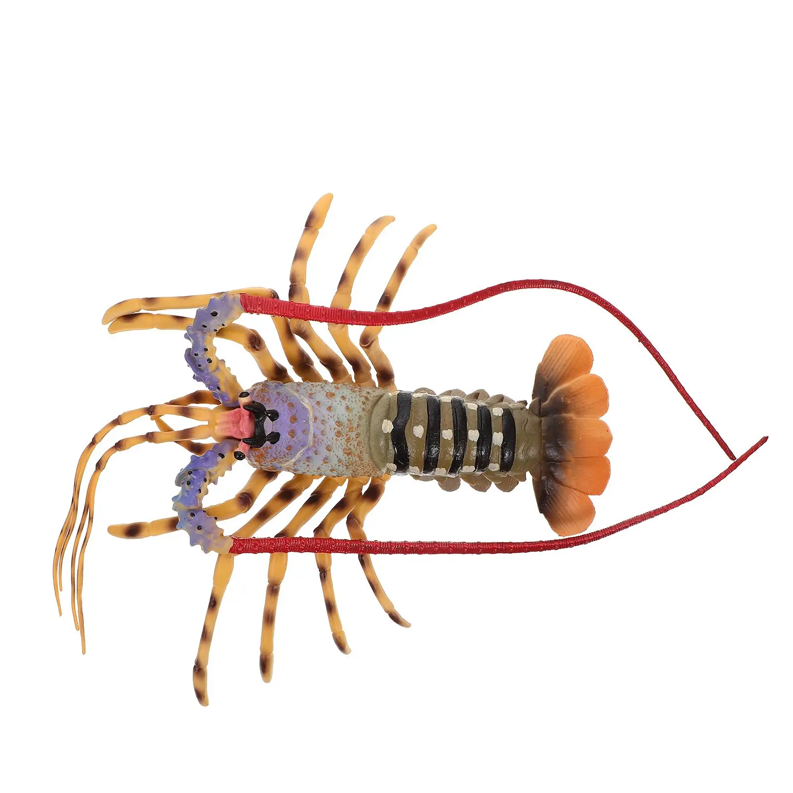 Simulation Lobster naments Plastic Toy Model Realistic Design Kids Gifts DIY Decor Artificial Plaything Lobster Model
Simulation Lobster naments Plastic Toy Model Realistic Design Kids Gifts DIY Decor Artificial Plaything Lobster Model
