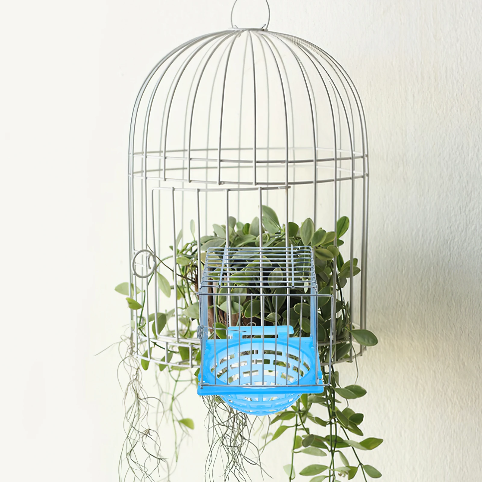 Bird Nest Breeding Boxes for Birds Metal Parakeet Cage Hatching Easy Clean Design Spacesaving Kits Outside Houses
Bird Nest Breeding Boxes for Birds Metal Parakeet Cage Hatching Easy Clean Design Spacesaving Kits Outside Houses