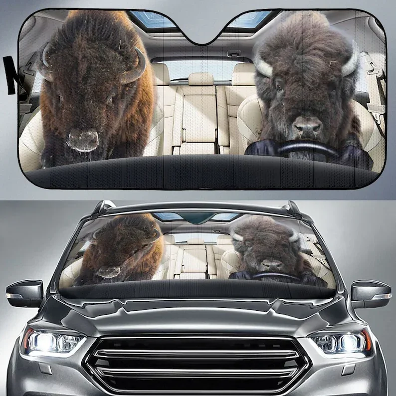 Автомобильный солнцезащитный козырек Bison-Driving, индивидуальный козырек от солнца, козырек от солнца на лобовое стекло, козырек от солнца на заказ, козырек от солнца
Автомобильный солнцезащитный козырек Bison-Driving, индивидуальный козырек от солнца, козырек от солнца на лобовое стекло, козырек от солнца на заказ, козырек от солнца