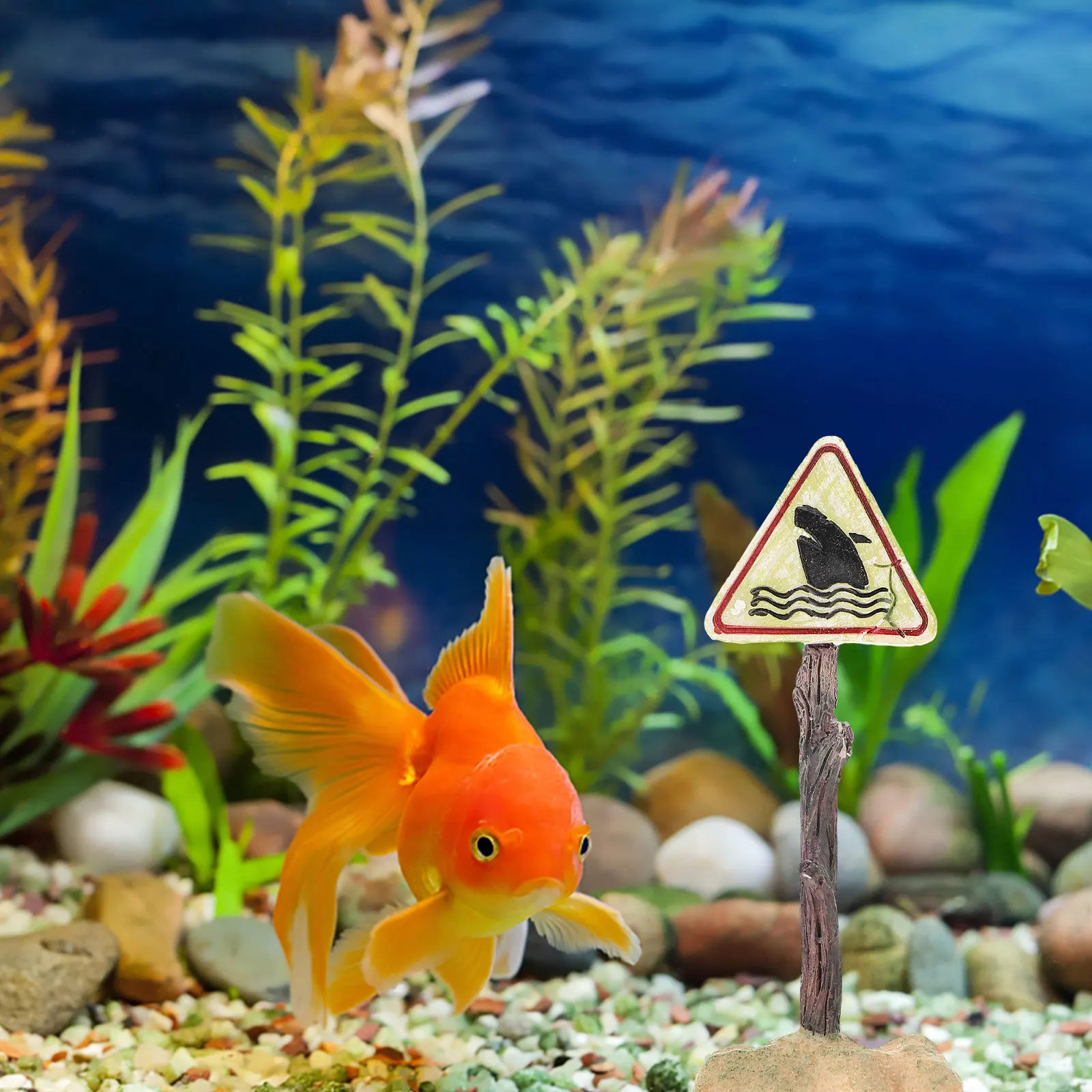 1pc Shark Warning Sign Resin Aquarium Decoration Small Fish Tank Ornament Waterproof Wear-Resistant Funny Micro Landscape
1pc Shark Warning Sign Resin Aquarium Decoration Small Fish Tank Ornament Waterproof Wear-Resistant Funny Micro Landscape