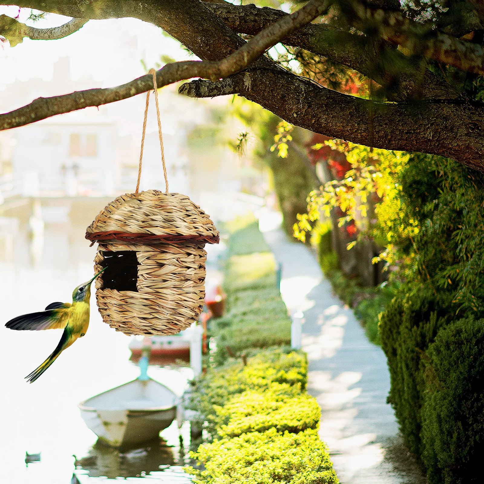 3Pcs Straw Woven Bird Nest Rustic Hanging Bird House Small Outdoor Nesting Box Finch Parakeet Hummingbird Cage
3Pcs Straw Woven Bird Nest Rustic Hanging Bird House Small Outdoor Nesting Box Finch Parakeet Hummingbird Cage