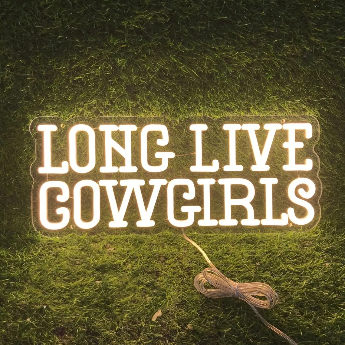 Неоновая вывеска Long Live Cowgirls, подарок любовнику-ковбой, светодиодный неоновый свет Cowgirls на заказ, декор для ковбойской вечеринки в стиле вестерн, декор для спальни
Неоновая вывеска Long Live Cowgirls, подарок любовнику-ковбой, светодиодный неоновый свет Cowgirls на заказ, декор для ковбойской вечеринки в стиле вестерн, декор для спальни