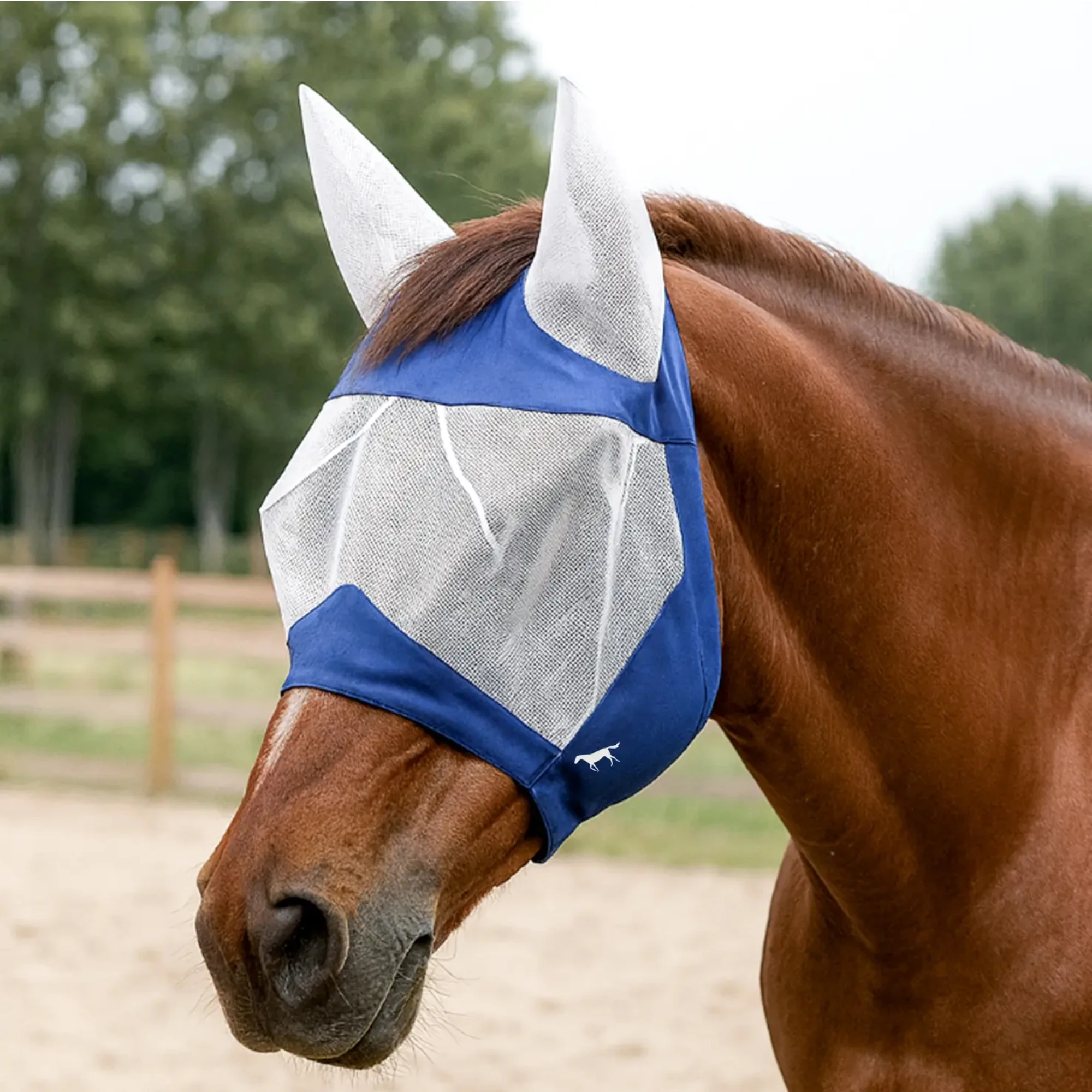 Four Season Multi Purpose Horse Mask Mesh Breathable Horse Eye Shield Prevent Mosquito Fly Horse Protective Gear
Four Season Multi Purpose Horse Mask Mesh Breathable Horse Eye Shield Prevent Mosquito Fly Horse Protective Gear