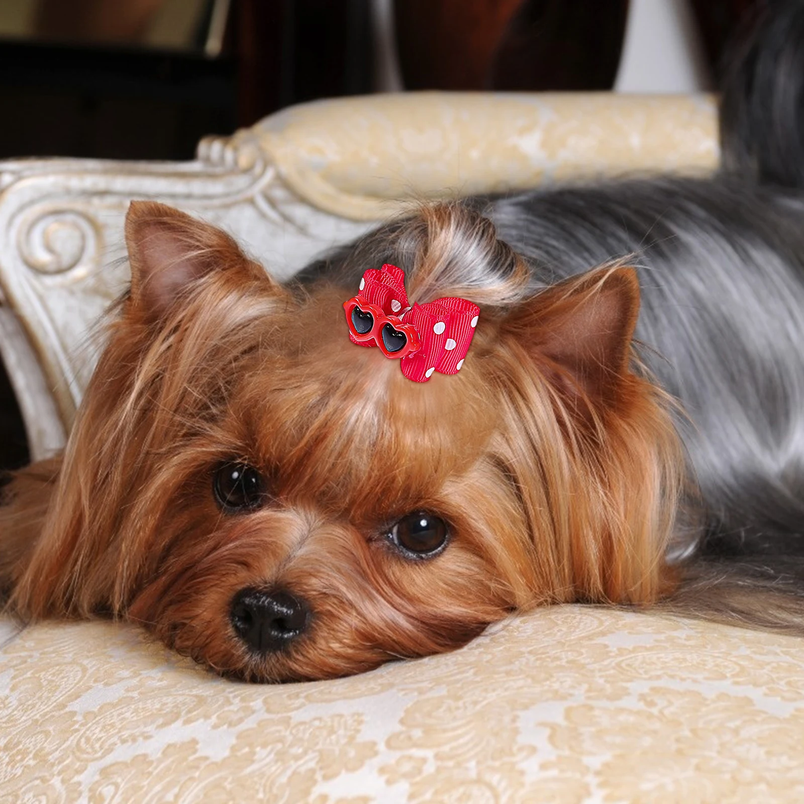 10pcs Pet Hair Clips Dog Cat Bowknot Hairpins Decorative Accessories For Puppies Premium Polyester Barrettes Daily
10pcs Pet Hair Clips Dog Cat Bowknot Hairpins Decorative Accessories For Puppies Premium Polyester Barrettes Daily