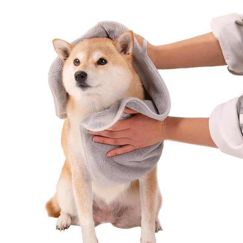 Pet towel Dog water-absorbing quick-drying cleaning Beauty gloves Pocket bath towel
Pet towel Dog water-absorbing quick-drying cleaning Beauty gloves Pocket bath towel
